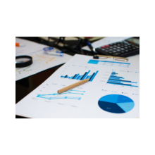 Image of Page with Financial Charts