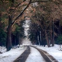 Image snowy dirt road