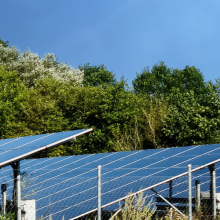 solar array with trees in background