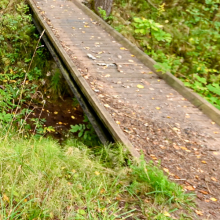 photo of a small bridge over a brook in the woods