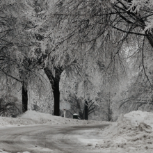 winter road