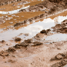 photo of very wet and rutted dirt road