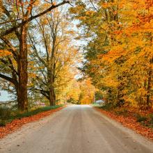 Vermont Autumn Road
