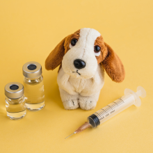 Image stuffed dog with vials and injector