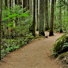 Image maintained trail