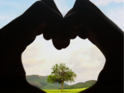 hands shaped into heart with tree in center