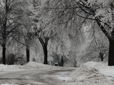 winter road