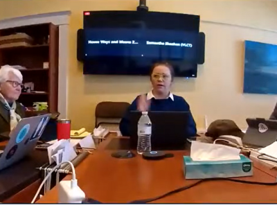 screenshot from YouTube of S. Sheehan testifying on 2/28/25