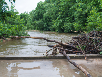 river with woody debris piled against a bridge 