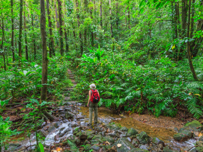 hiking trail