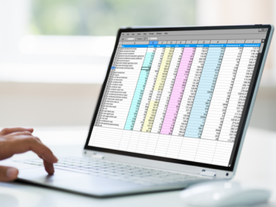 photo of laptop displaying a spreadsheet file