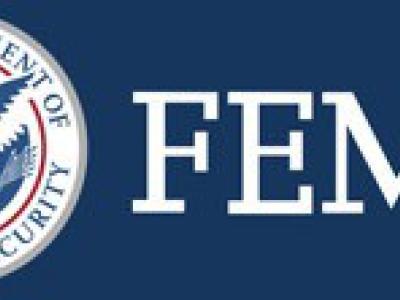 logo fema 0