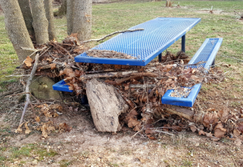 picnic table with woody debris
