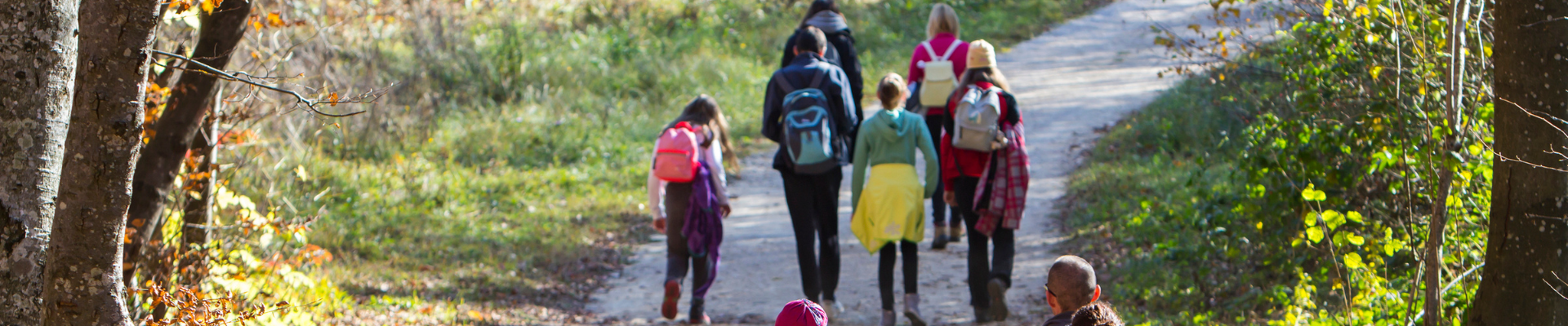 mixed age group hiking on gravel path