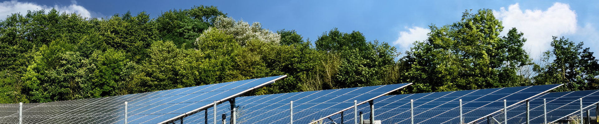 solar array with trees in background