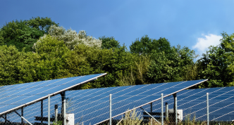 solar array with trees in background