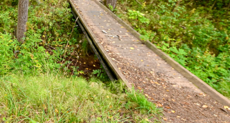 photo of a small bridge over a brook in the woods