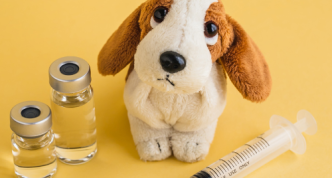 Image stuffed dog with vials and injector